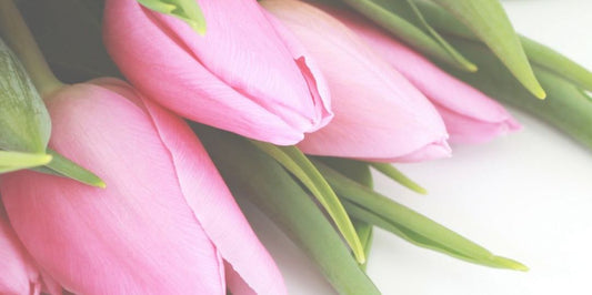 MAREC - 8 ritualov za vsako žensko